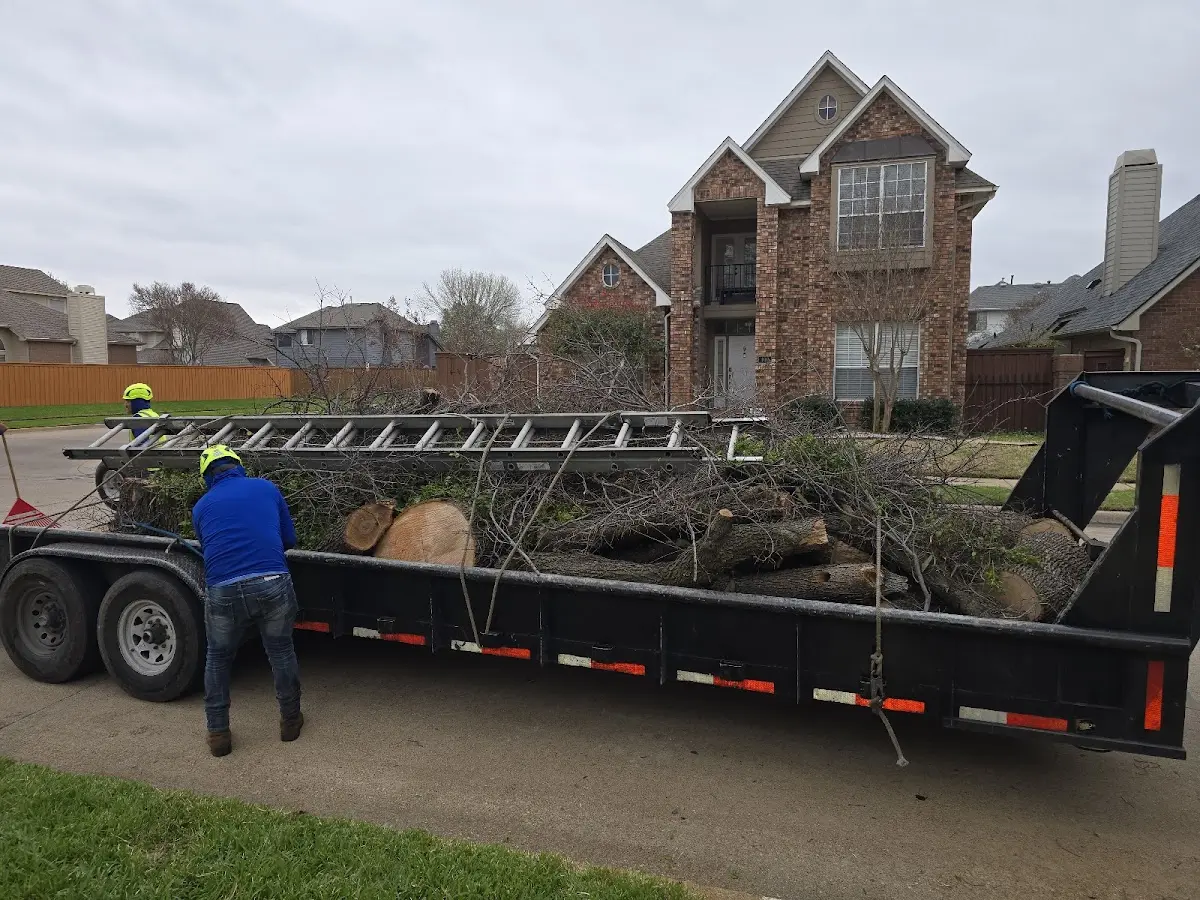 Expert Lot Clearing with proper safety equipment in Roach